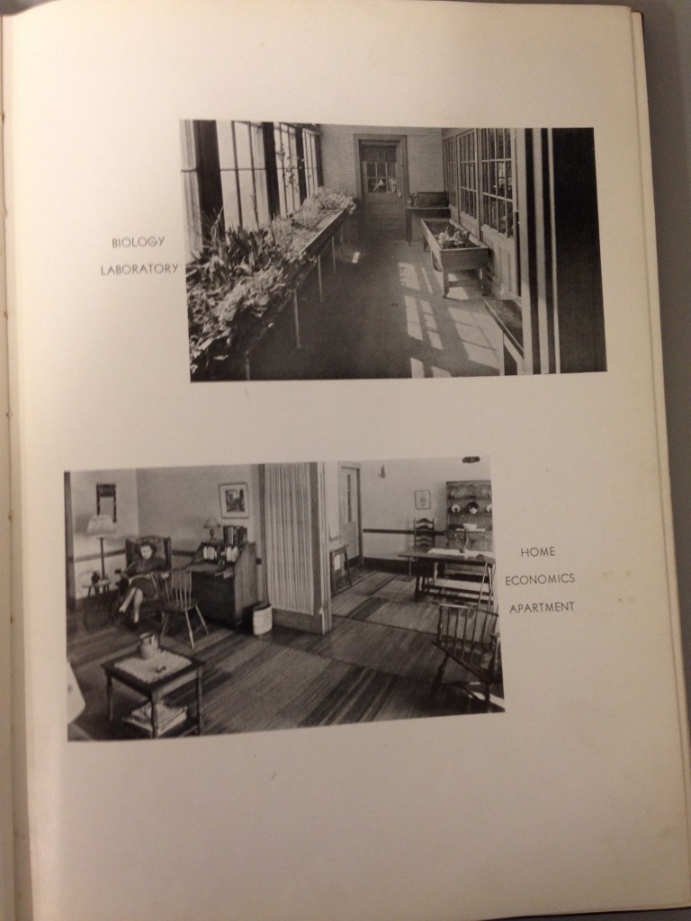 IMG_4766MA30010553-0009